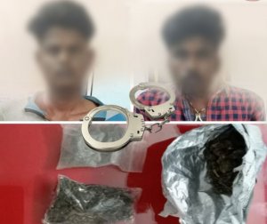 குமரியில் 2 கிலோ கஞ்சா பறிமுதல்: நெல்லையைச் சேர்ந்த 2 இளைஞர்கள் கைது!